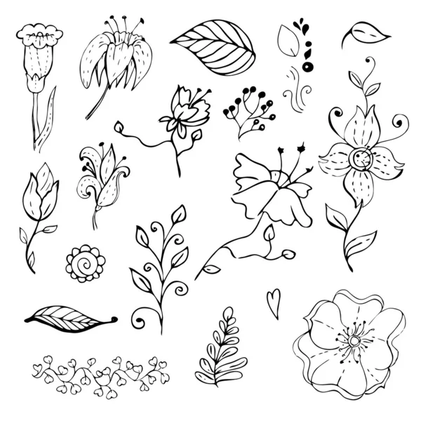 Collection d'éléments floraux dessinés à la main — Image vectorielle