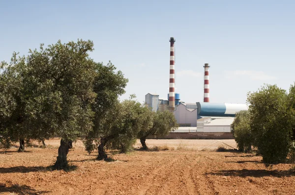 Olive trees and factory — Stock Photo, Image