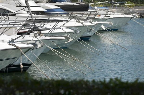 Yachts moored in marina — Stock Photo, Image