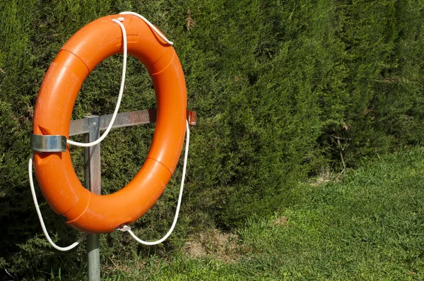 Boa e recinzione verde — Foto Stock