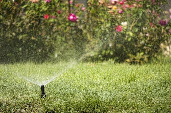 Watering the garden — Stock Photo, Image