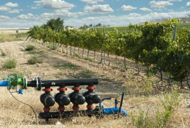 Water pumps for irrigation of vineyards clipart