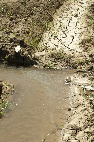 Kırık toprak ve su — Stok fotoğraf