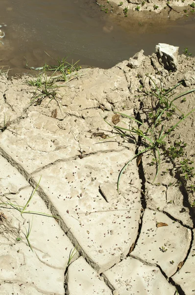 Tierra y agua agrietados — Foto de Stock