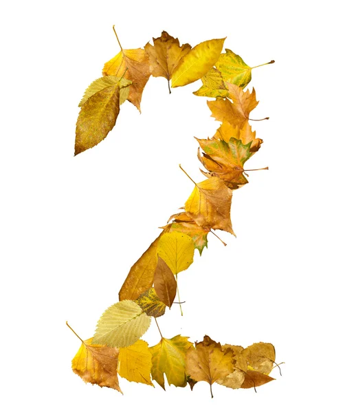 Number Two made of autumn leaves. — Stock Photo, Image