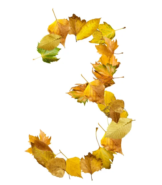 Numéro trois fait de feuilles d'automne . — Photo