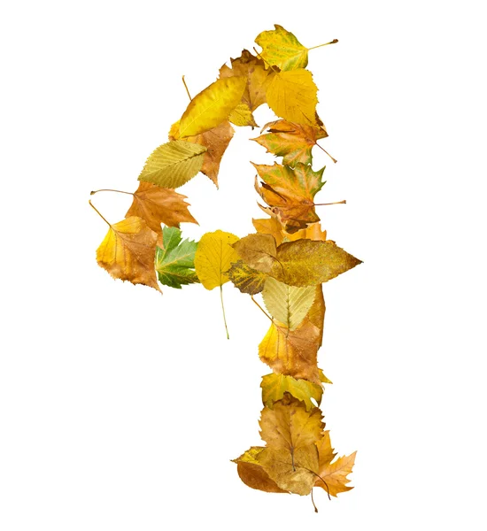 Number four made of autumn leaves. — Stock Photo, Image