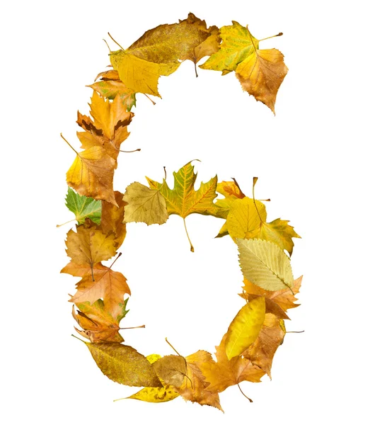 Nummer zes gemaakt van Herfstbladeren. — Stockfoto