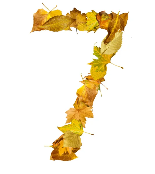 Nummer zeven gemaakt van Herfstbladeren. — Stockfoto