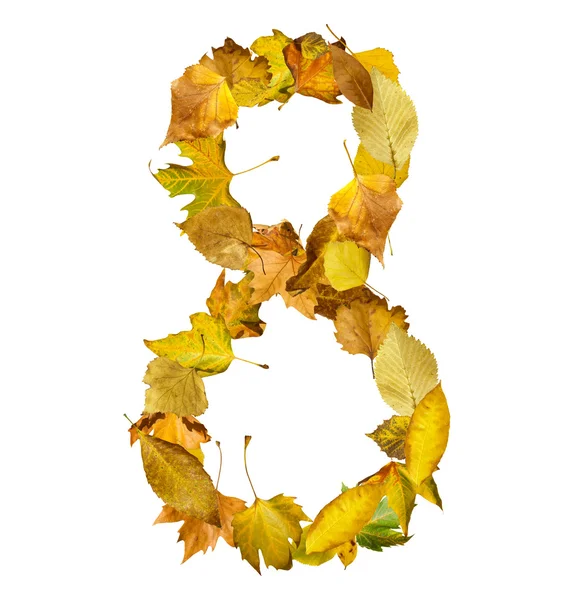 Number eight made of autumn leaves. — Stock Photo, Image