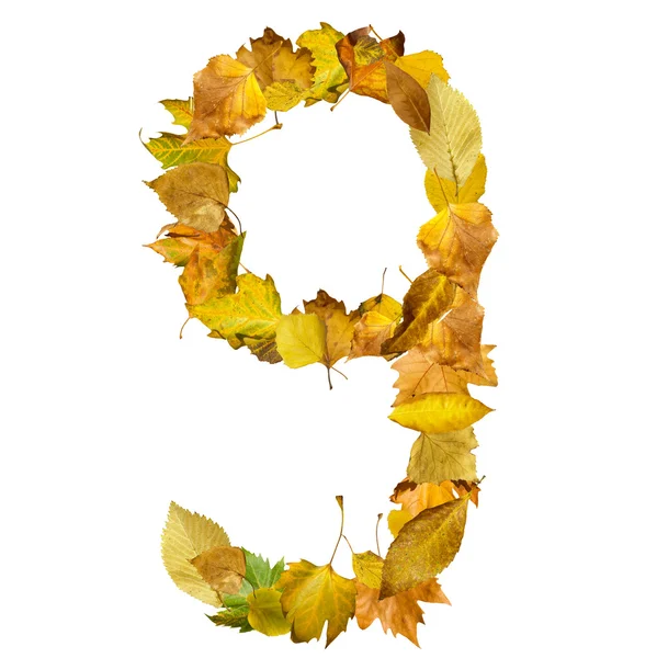 Number nine made of autumn leaves. — Stock Photo, Image