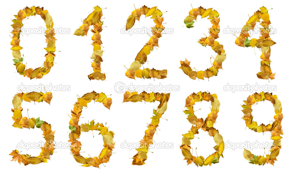 Set of numbers made of autumn leaves