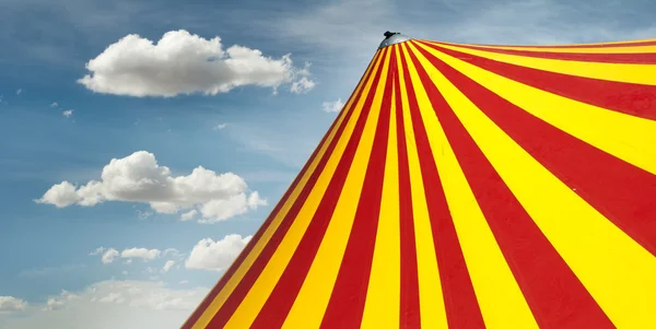 Cúpula de circo — Fotografia de Stock