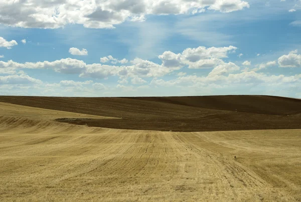 Tarım arazisi — Stok fotoğraf