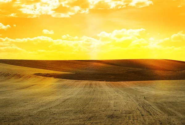 Agricultural land — Stock Photo, Image