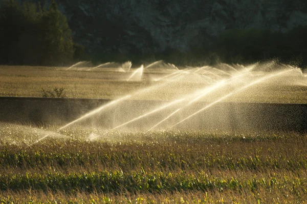 Irrigation systems on sunset — Stock Photo, Image