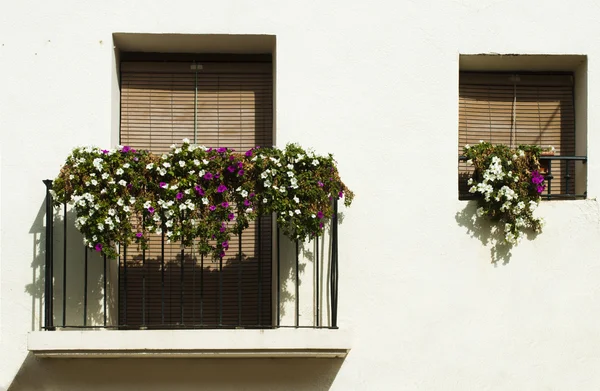 Classic balcony with flowers — Stock Photo, Image