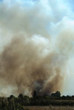 bir alanda yangın