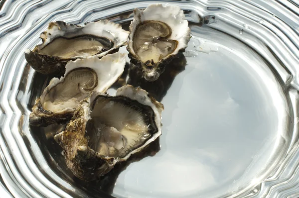 Oysters on a silver platter — Stock Photo, Image