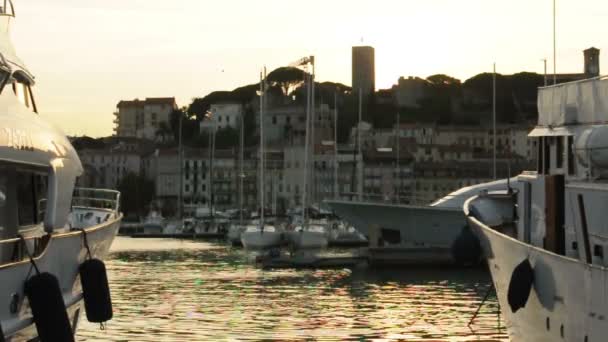 Båtar förtöjda i cannes i solnedgången. Cannes-bukten — Stockvideo