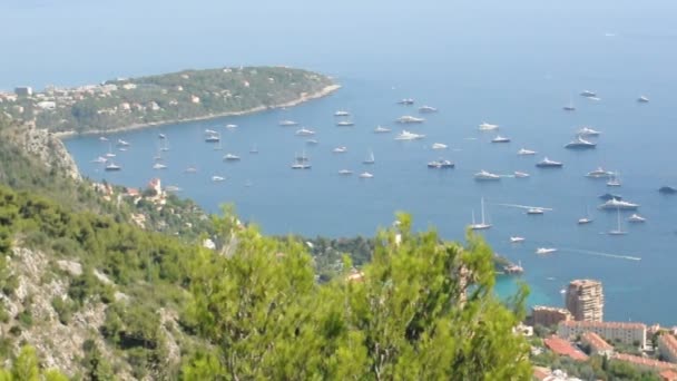 Utsikt over Monaco og mange yachter i bukta – stockvideo