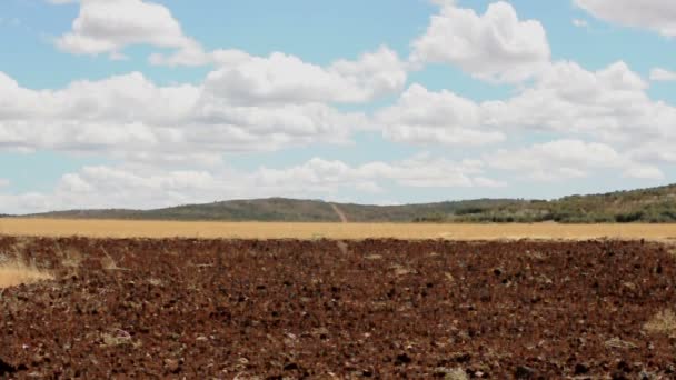 Terres agricoles et ciel bleu — Video