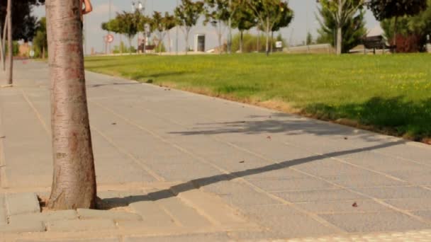 Human feets in sportshoes running on alley — Stock Video