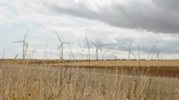 Wind generators panorama — Stock Video