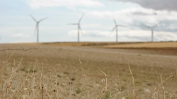 Wind generators panorama — Stock Video