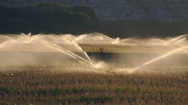 günbatımı üzerinde sulama sistemleri.