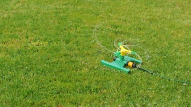 Lawn sprinkler splashing water over green grass. — Stock Video