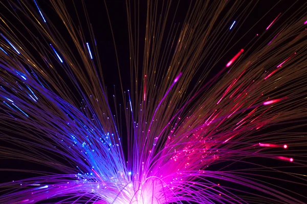 Optical fibers — Stock Photo, Image