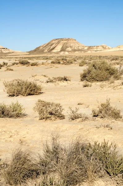 Deșertul roșu — Fotografie, imagine de stoc