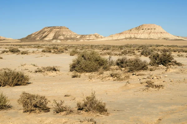 Deșertul roșu — Fotografie, imagine de stoc