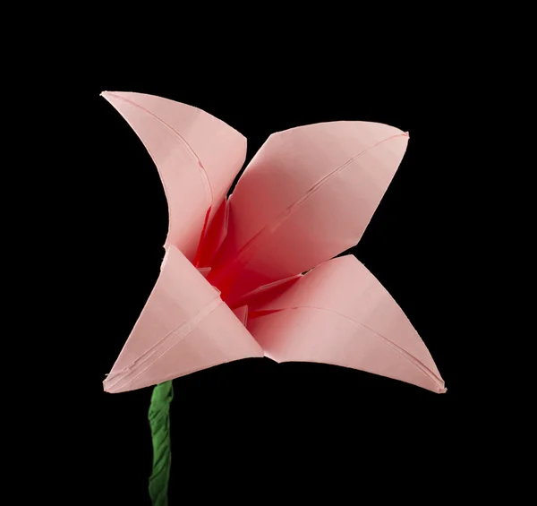 Roze bloem origami zwarte geïsoleerd — Stockfoto