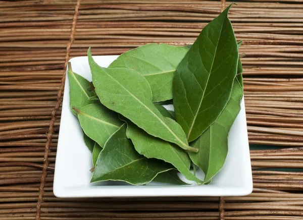 Bay leaf spice — Stock Photo, Image