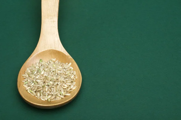 Rice integral in wooden spoon — Stock Photo, Image