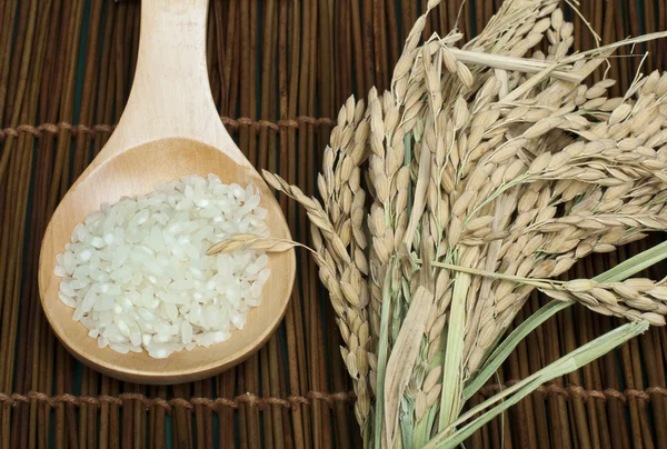 Baldo de arroz em colher de madeira — Fotografia de Stock