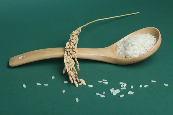 Baldo de arroz en cuchara de madera — Foto de Stock