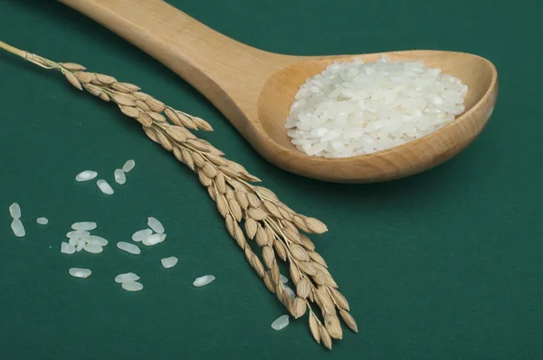 Rice baldo in wooden spoon — Stock Photo, Image