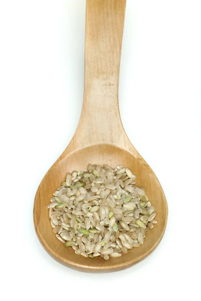 Integral de arroz em colher de madeira — Fotografia de Stock