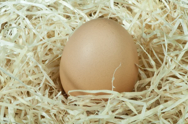 Raw eggs in straw — Stock Photo, Image