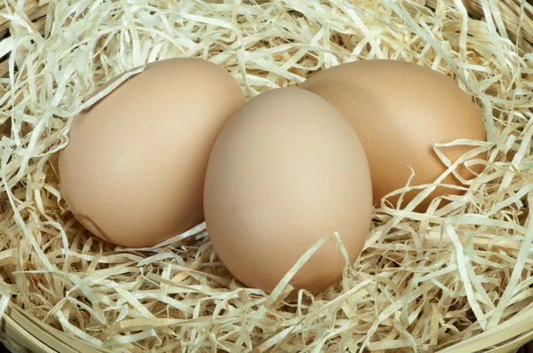 Сырые яйца в соломе — стоковое фото
