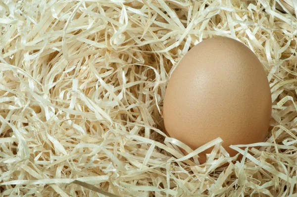 Raw eggs in straw — Stock Photo, Image