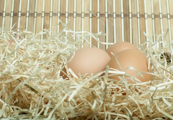Raw eggs in straw — Stock Photo, Image