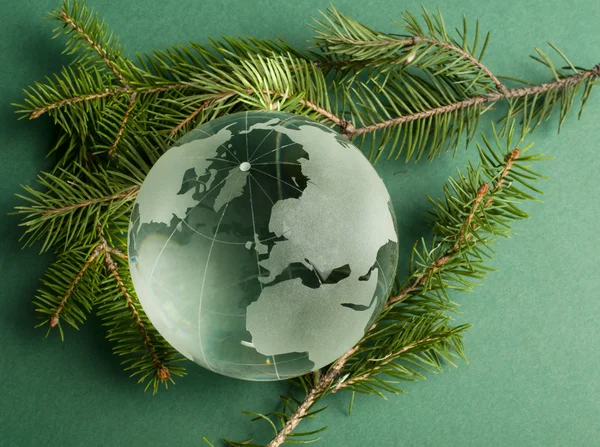 Glass globe on green fir branches — Stock Photo, Image