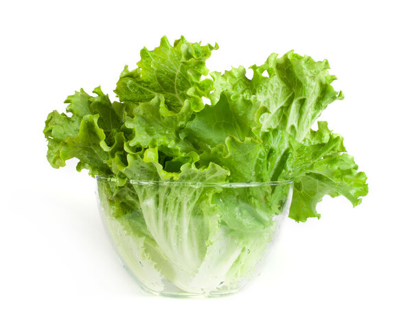 Lettuce in a glass bowl