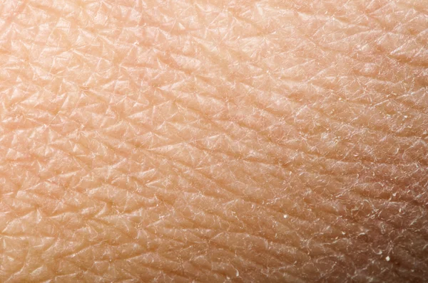 Human skin — Stock Photo, Image