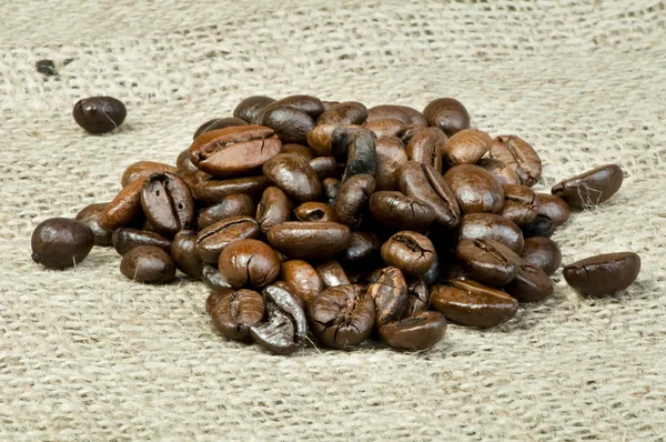 Coffee beans — Stock Photo, Image