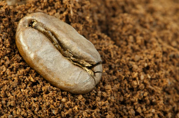 Coffee beans and ground coffee — Stock Photo, Image